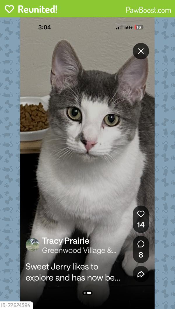 Reunited Male Cat last seen Arapahoe and Yosemite, Centennial, CO 80112