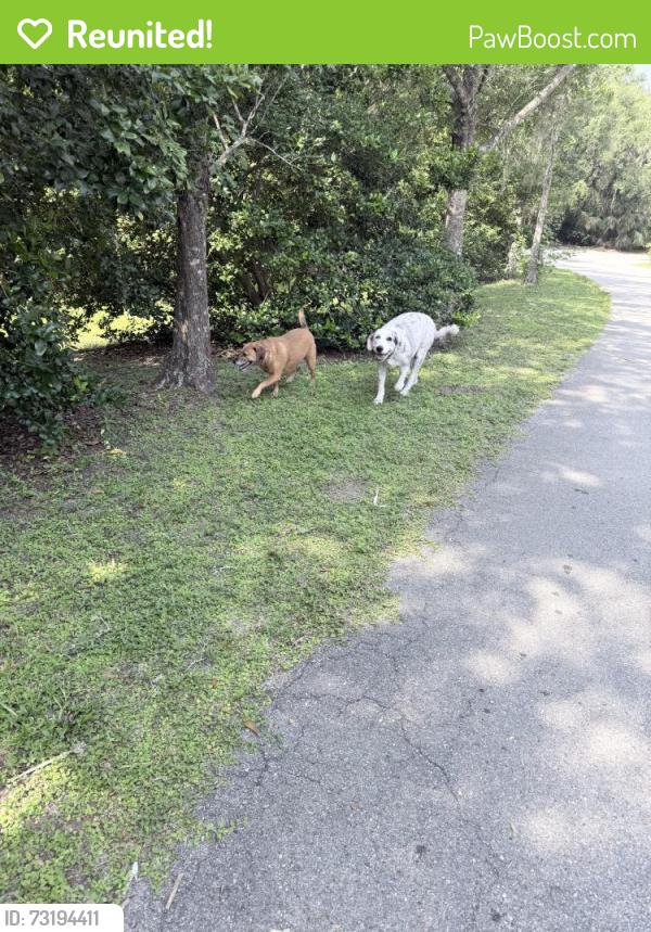 Reunited Unknown Dog last seen Castaway Island Preserve, Jacksonville, FL 32224