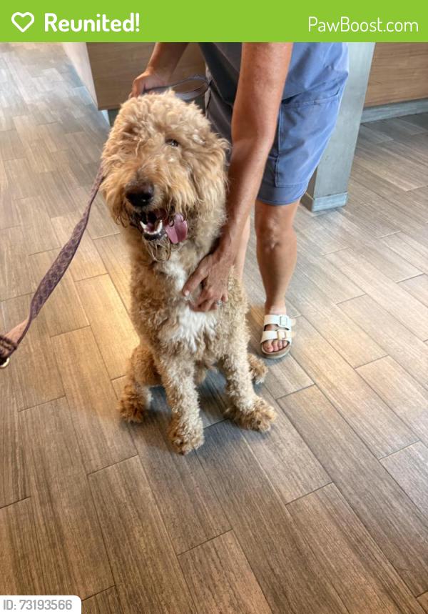 Reunited Male Dog last seen Publix Supermarket., Jacksonville, FL 32205