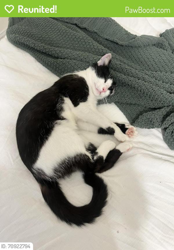 Reunited Male Cat last seen Poplar st and Brian rd, Aberdeen, NC 28315