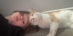 Lost Male Cat last seen Near street, Edmonton, AB T6M 3J9