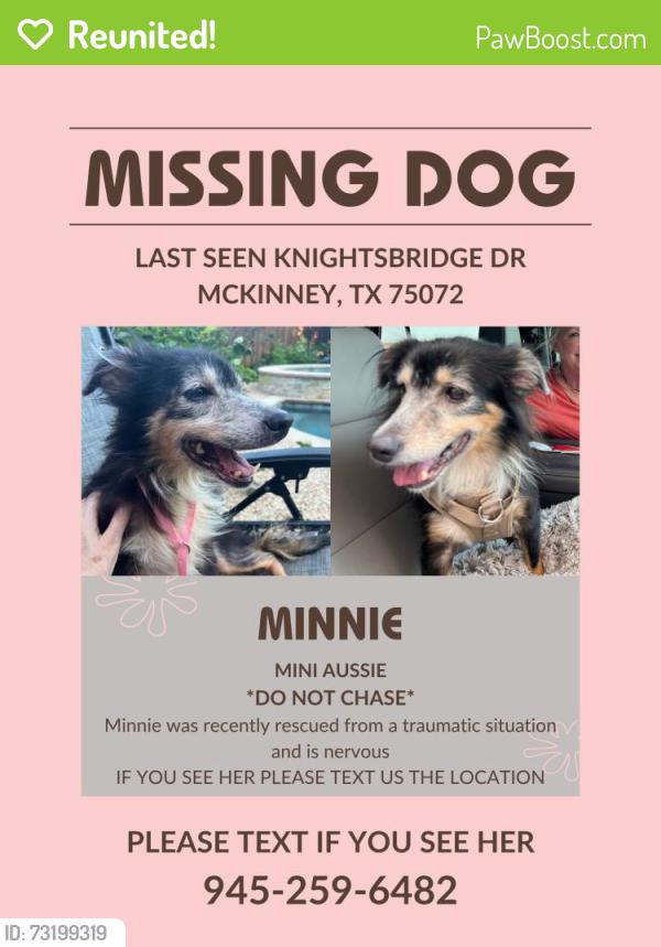 Reunited Female Dog last seen Knightsbridge dr, mckinney, McKinney, TX 75072