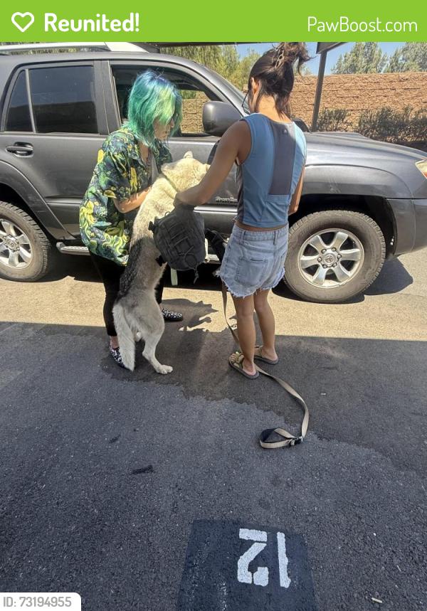 Reunited Female Dog last seen Westbrook apmts, Riverside, CA 92505