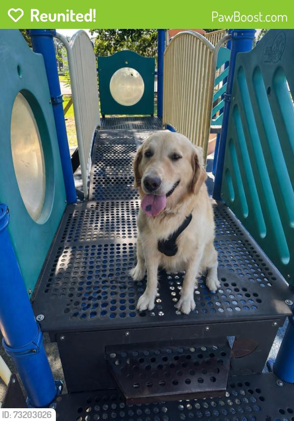 Reunited Male Dog last seen macarthur, Irving, TX 75061