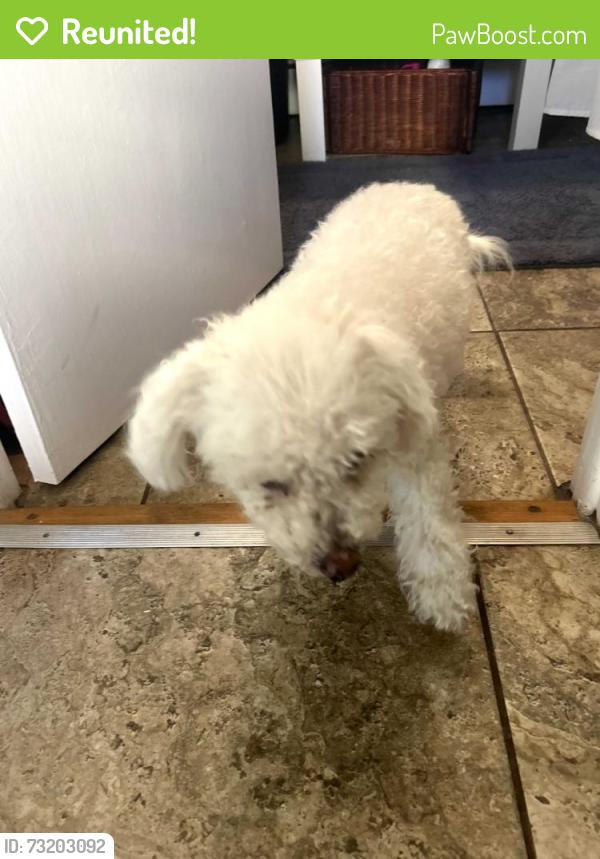 Reunited Unknown Dog last seen Payne and Fayette, Alexandria, VA 22314