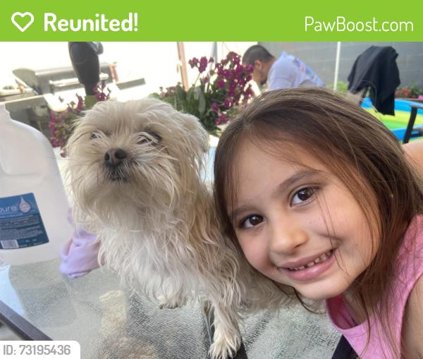 Reunited Female Dog last seen B St and 9th, Colton, CA 92324