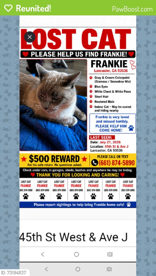 Reunited Male Cat last seen 44th st West &Ave j, Lancaster, CA 93536
