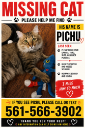 Lost Male Cat last seen Near coral lake way, Coral Springs, FL 33065