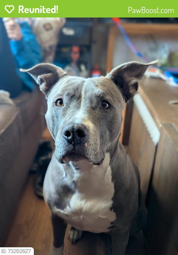 Reunited Female Dog last seen Belleview and Osceola, Littleton, CO 80123