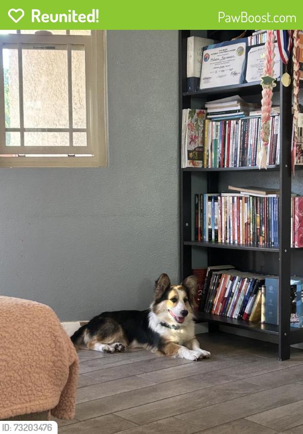 Reunited Male Dog last seen Near E 2nd St, Los Angeles, CA 90033, USA, Los Angeles, CA 90033