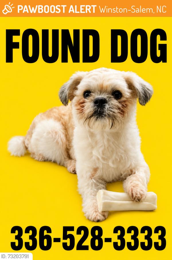 Found/Stray Male Dog last seen Mid Salem Ct & Stratford RD, Winston-Salem, NC 27103