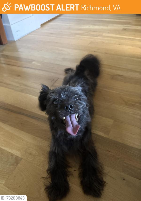 Found/Stray Male Dog last seen Near highland park, Richmond, VA 23222