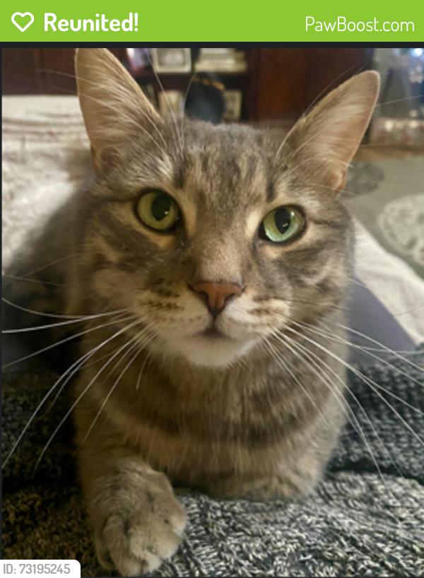 Reunited Male Cat last seen Black Cat and McMillan, Meridian, ID 83646