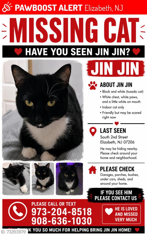 Lost Male Cat last seen Near S Front St, Elizabeth, NJ 07202, Elizabeth, NJ 07206