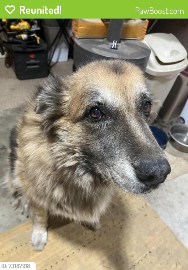 Reunited Female Dog last seen Oak dr, Campo, CA 91906