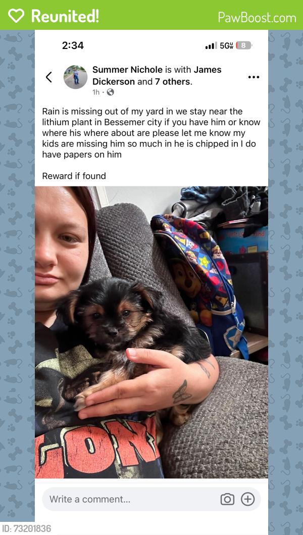 Reunited Male Dog last seen Bessemer city Kings mountain hwy, Bessemer City, NC 28016