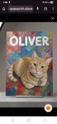 Lost Male Cat last seen Brown and Horne, Mesa, AZ 85203