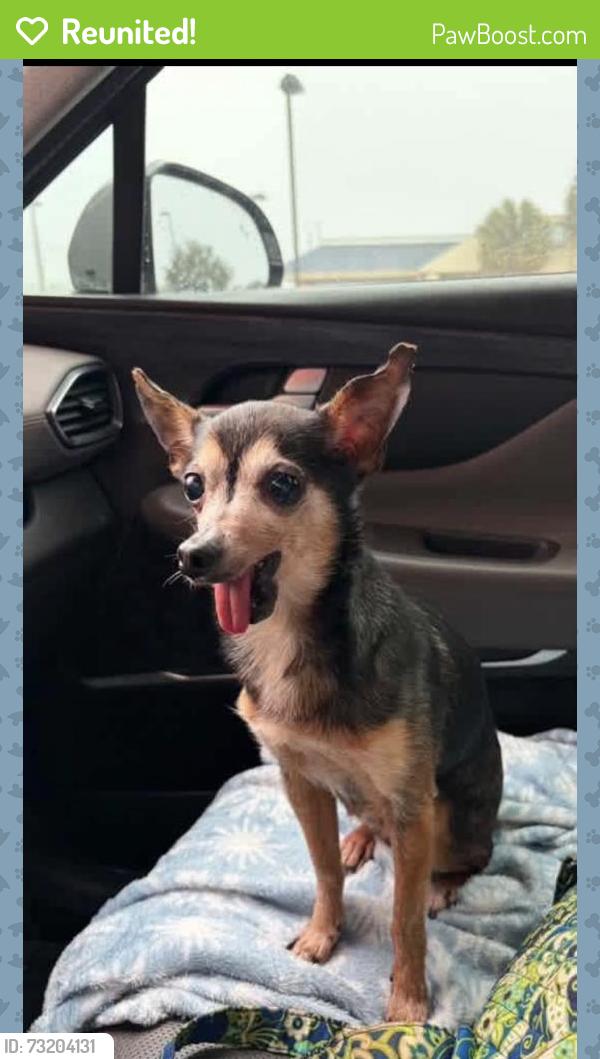 Reunited Male Dog last seen Pinehurst & Cranbrook Ct, Spring Hill, FL 34606