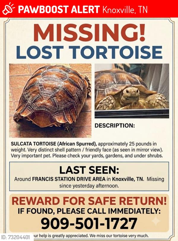 Lost Male Other last seen Francis station Dr, Knoxville, TN 37909