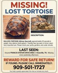 Lost Male Other last seen Francis station Dr, Knoxville, TN 37909