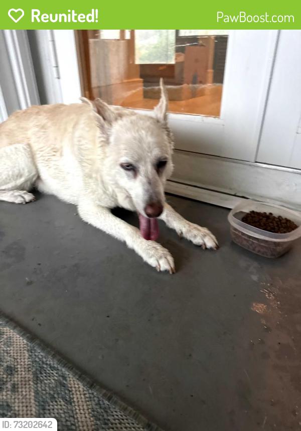 Reunited Unknown Dog last seen Administration St, Port Charlotte, FL 33948