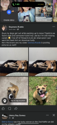 Lost Male Dog last seen Walnut st, San Angelo, TX 76901
