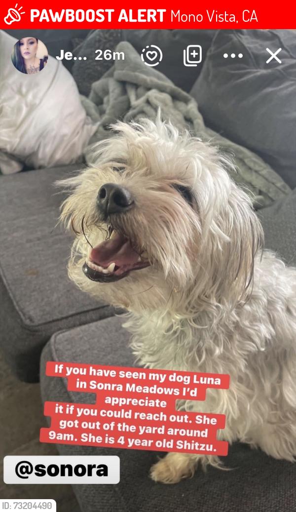 Lost Female Dog last seen Westwood circle & Sallander dr, Mono Vista, CA 95370