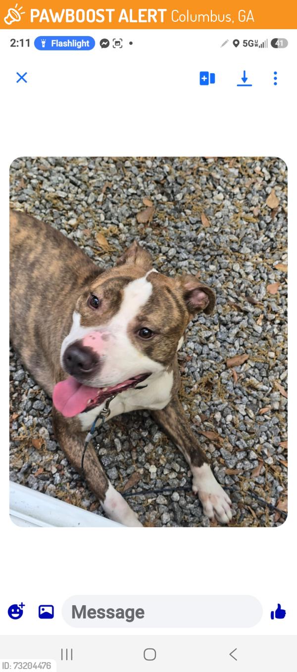Found/Stray Male Dog last seen 44th st and Hamilton rd, Columbus, GA 31901