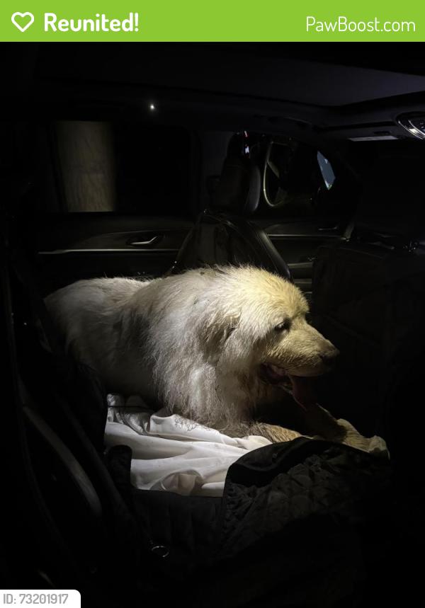 Reunited Unknown Dog last seen Hebron Avenue and Marlborough Rd, Glastonbury, CT 06033