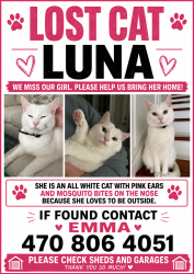 Lost Female Cat last seen Haynes landing neighborhood, Alpharetta, GA 30022