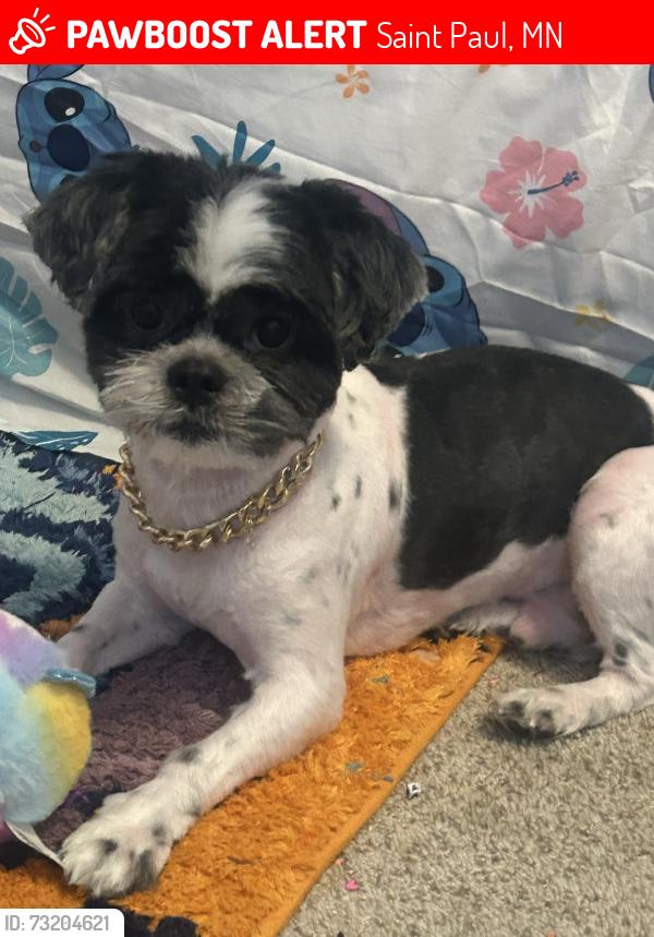 Lost Male Dog last seen Hazel and Arlington, Saint Paul, MN 55119