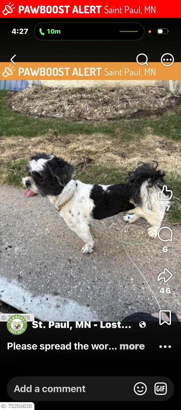 Lost Male Dog last seen st paul, Saint Paul, MN 55106