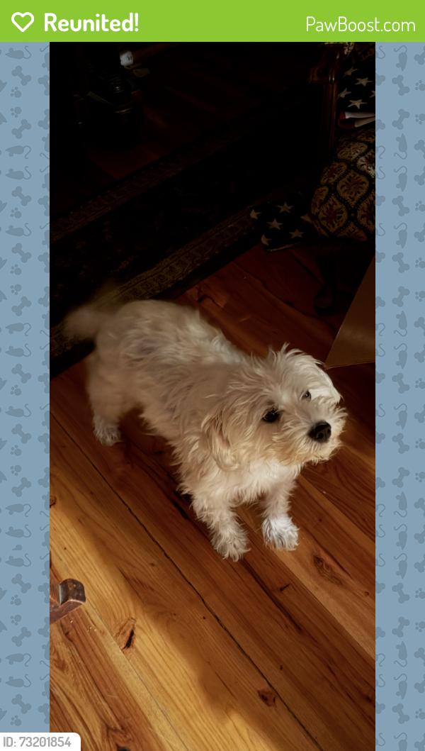 Reunited Female Dog last seen 1st and Dudley, Lakewood, CO 80226