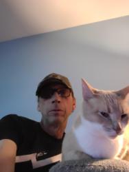 Lost Female Cat last seen Vogel and lambert, Toledo, OH 43613