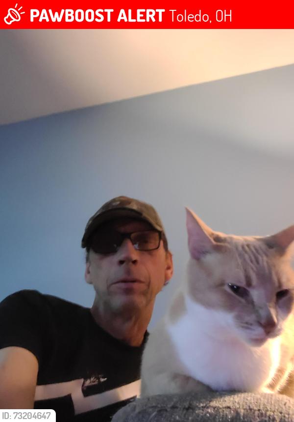 Lost Female Cat last seen Vogel and lambert, Toledo, OH 43613