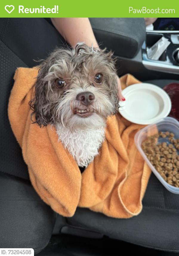 Reunited Male Dog last seen McDuff Ave S, Jacksonville, FL, USA, Jacksonville, FL 33305