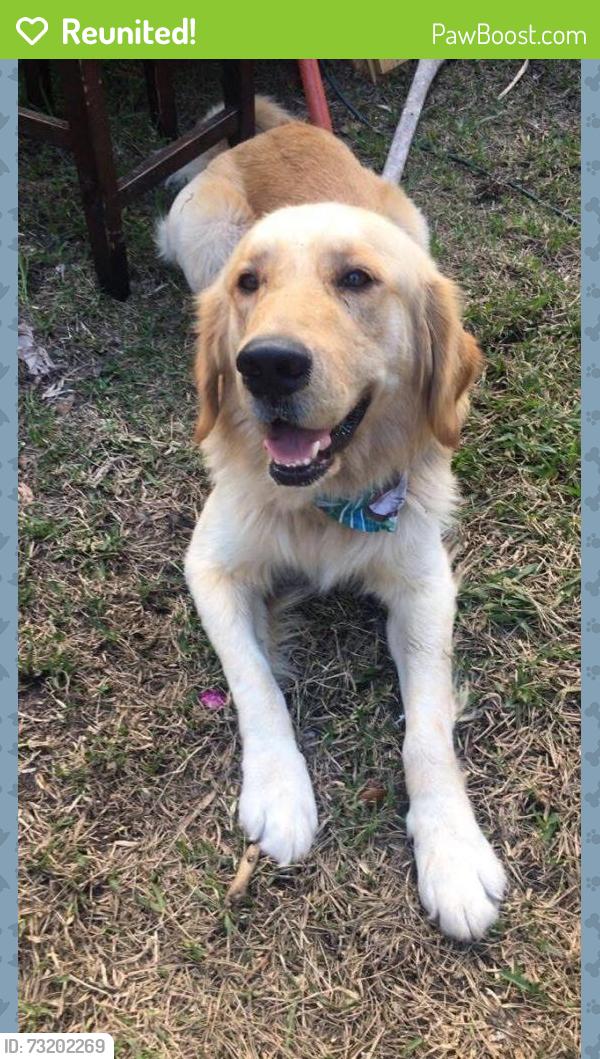 Reunited Male Dog last seen Near sw 26th st fort lauderdale fl 33315, Fort Lauderdale, FL 33315
