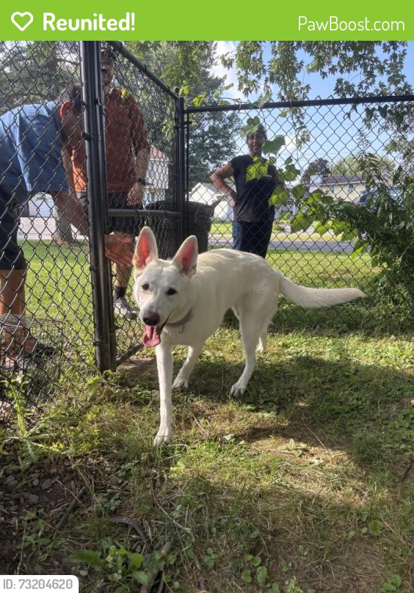 Reunited Female Dog last seen Blackberry and Oswego Rd, Liverpool, NY 13090