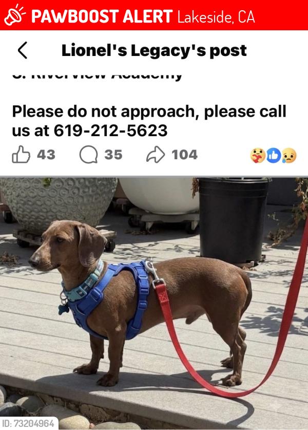 Lost Male Dog last seen School near Woodside Avenue, Lakeside, CA 92040