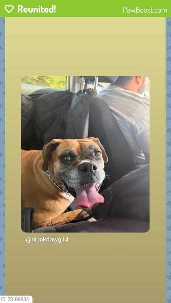Reunited Female Dog last seen Irwindale park, Irwindale, CA 91706