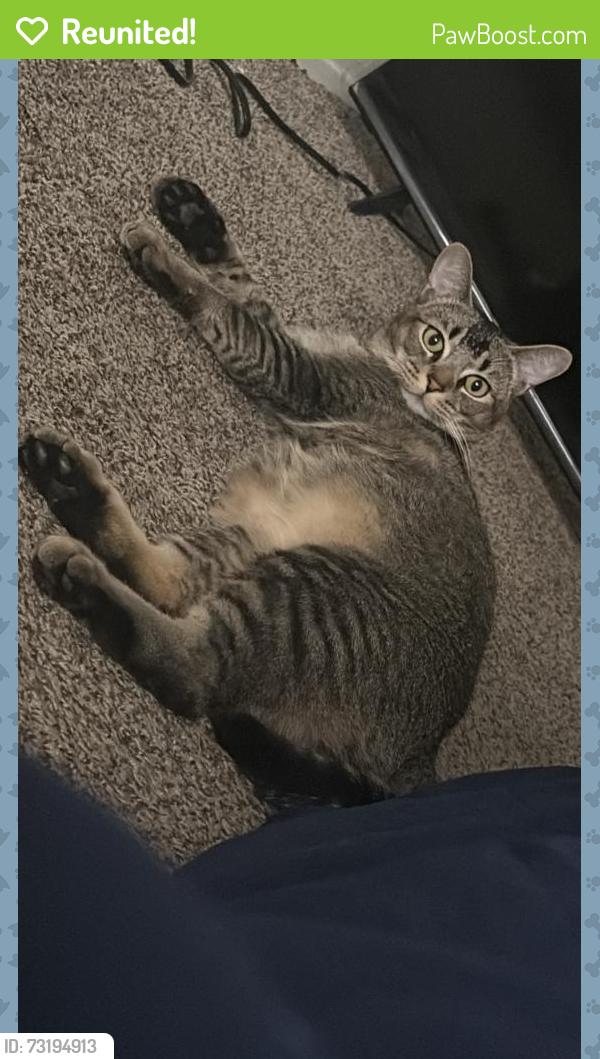 Reunited Male Cat last seen S 46th st, San Diego, CA 92113