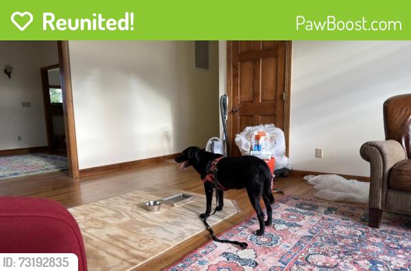 Reunited Female Dog last seen Near Stubbs Bridge Rd, Spotsylvania Courthouse, VA 22551