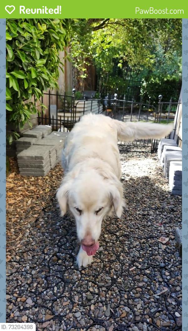 Reunited Unknown Dog last seen Hartford Drive and Larrabee, Forest Grove, OR 97116