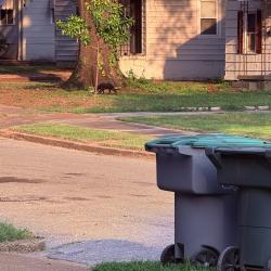 Found/Stray Unknown Dog last seen Hendricks Ave and S Prescott rd, Memphis, TN 38111