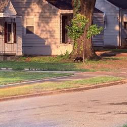 Found/Stray Unknown Dog last seen Hendricks Ave and S Prescott Rd, Memphis, TN 38111