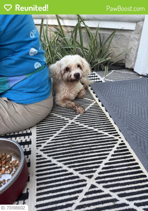 Reunited Male Dog last seen Murworth Dr, Houston, TX, USA, Houston, TX 77025