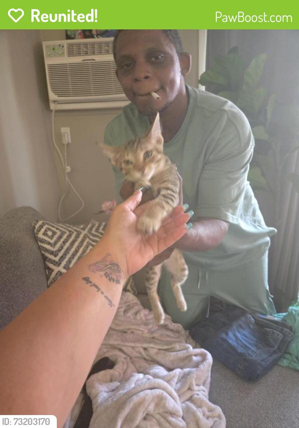 Reunited Male Cat last seen Orchards at 4 mile, building 990, Walker, MI 49544