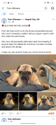 Reunited Male Dog last seen Training camp for rock climbing, Rapid City, SD 57701