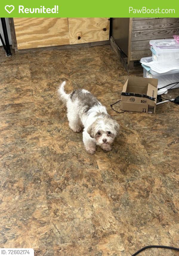 Reunited Male Dog last seen Near W Tidwell Rd, Houston, TX 77092, USA, Houston, TX 77092