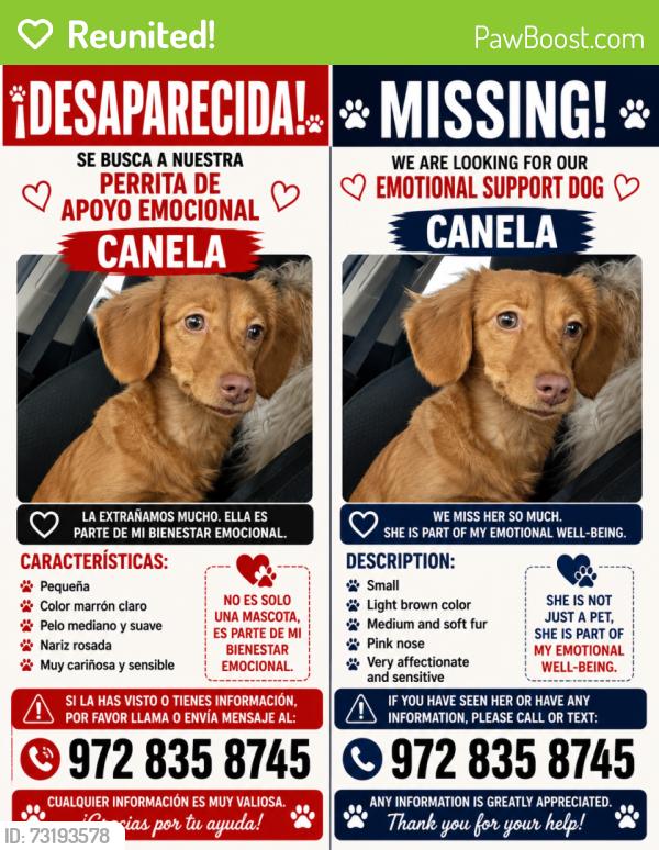 Reunited Female Dog last seen Near meadow Park Cir, Bedford, TX 76021